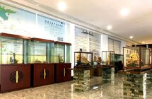 芳馨之旅｜探寻五桂山沉香的奥秘