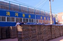 临洮洮河香业｜帮扶车间托起残障人士“就业梦”