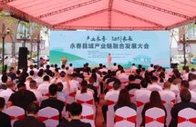 永春召开沉香产业发展交流会 赋能产业发展