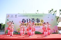 金桥镇这样打造“茶香营养社区”，喝茶竟能抗炎瘦身？
