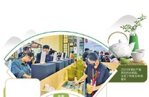 今年我国茶园面积将突破5300万亩，总产值约3300亿元