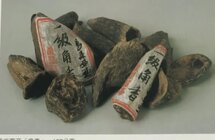 什么是星洲系鹰木香沉香树种？