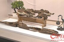 香承千年迈向百亿 电白沉香产业蝶变记