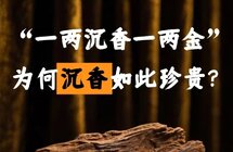 沉香产业的跨境新机遇