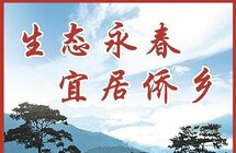 一路芳香永是春 永春香产业迸发澎湃活力