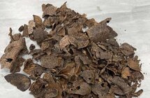沉香中什么叫黑油格和黄油格？