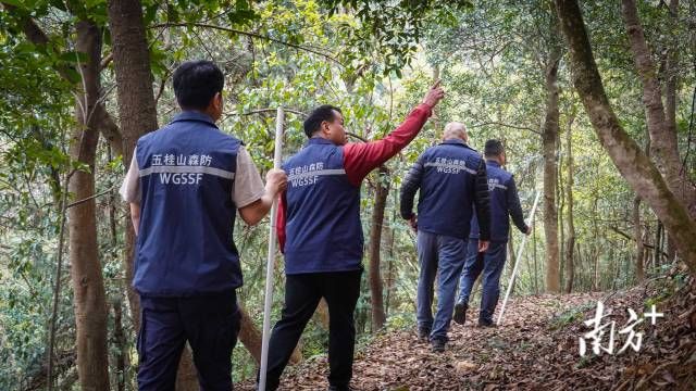 Scientists make astounding discovery deep in heart of protected forest: 'New distribution record'